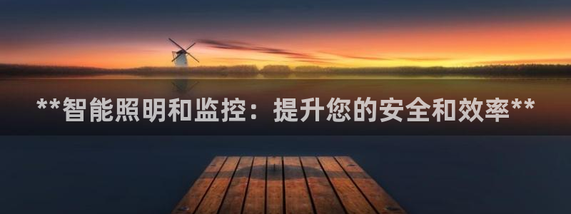 **智能照明和监控:提升您的安全和效率**