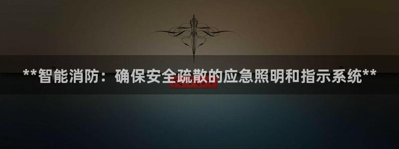**智能消防：确保安全疏散的应急照明和指示系统**