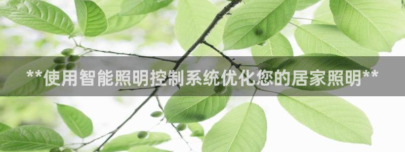 **使用智能照明控制系统优化您的居家照明**