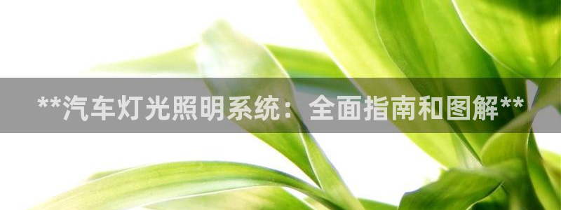 **汽车灯光照明系统：全面指南和图解**