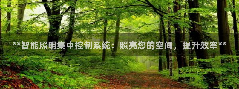 **智能照明集中控制系统：照亮您的空间，提升效率**