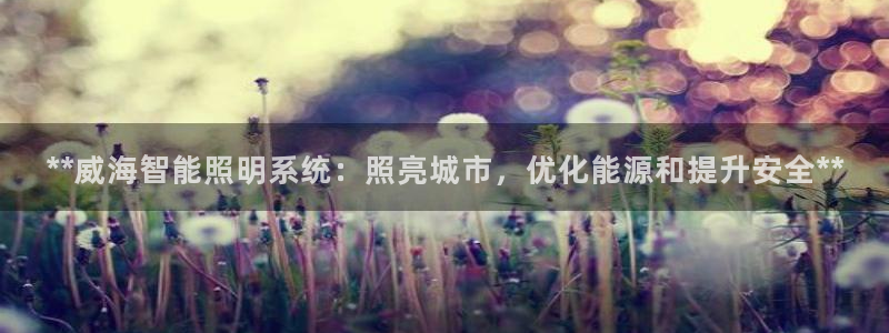 **威海智能照明系统：照亮城市，优化能源和提升安全**