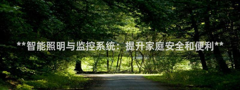 **智能照明与监控系统：提升家庭安全和便利**