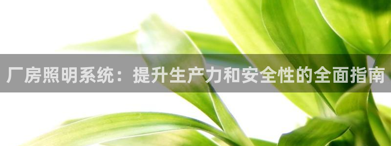 厂房照明系统：提升生产力和安全性的全面指南