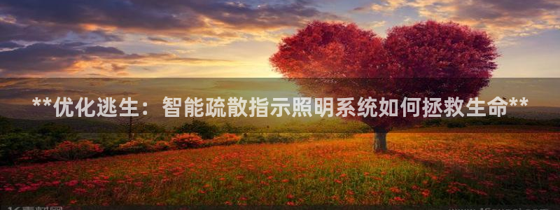 **优化逃生：智能疏散指示照明系统如何拯救生命**