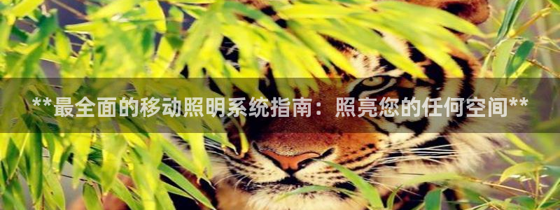 **最全面的移动照明系统指南：照亮您的任何空间**