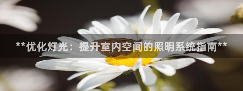 **优化灯光：提升室内空间的照明系统指南**