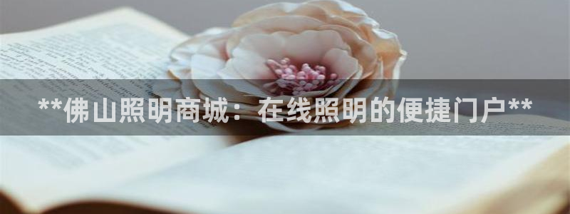 **佛山照明商城：在线照明的便捷门户**