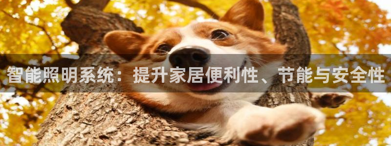 智能照明系统：提升家居便利性、节能与安全性