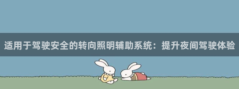 适用于驾驶安全的转向照明辅助系统:提升夜间驾驶体验