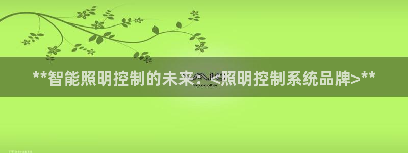 **智能照明控制的未来：<照明控制系统品牌>**