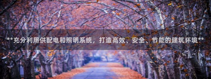 **充分利用供配电和照明系统,打造高效、安全、节能的建筑环境**