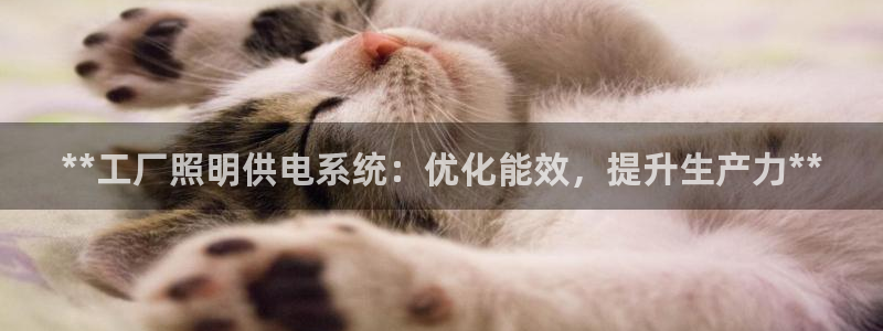 **工厂照明供电系统：优化能效，提升生产力**