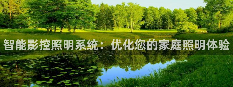 智能影控照明系统：优化您的家庭照明体验