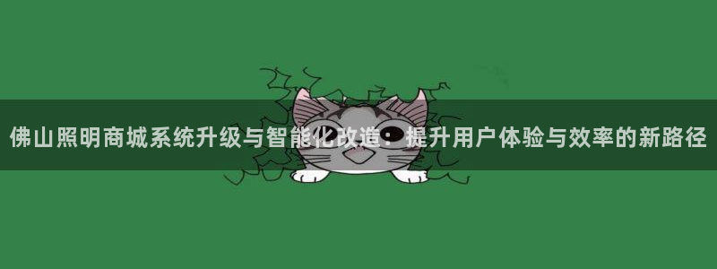 佛山照明商城系统升级与智能化改造：提升用户体验与效率的新路径