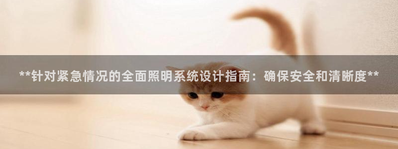 **针对紧急情况的全面照明系统设计指南:确保安全和清晰度**