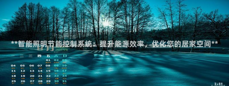 **智能照明节能控制系统:提升能源效率,优化您的居家空间**