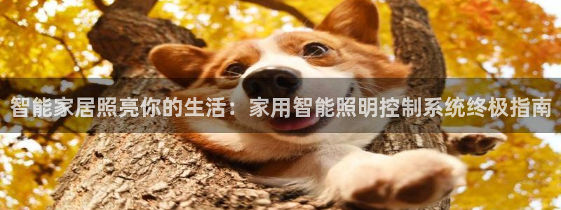 智能家居照亮你的生活:家用智能照明控制系统终极指南