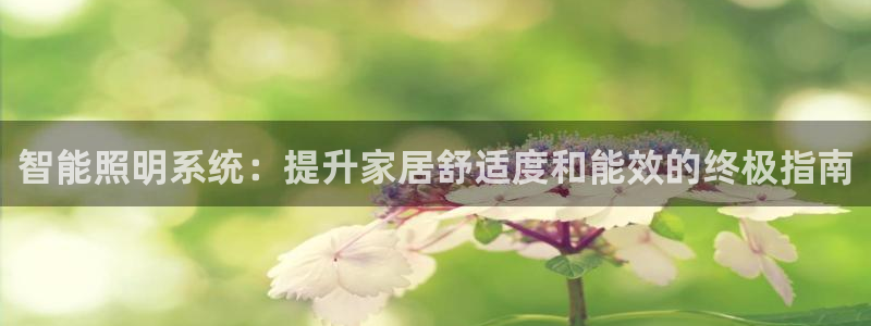 智能照明系统：提升家居舒适度和能效的终极