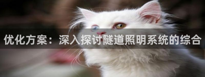优化方案：深入探讨隧道照明系统的综合