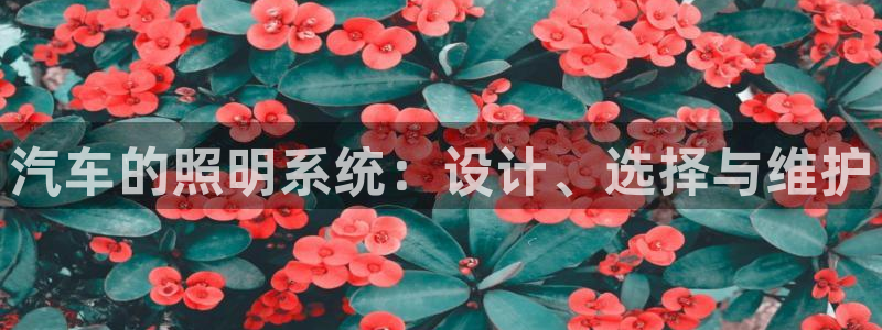 汽车的照明系统：设计、选择与维护