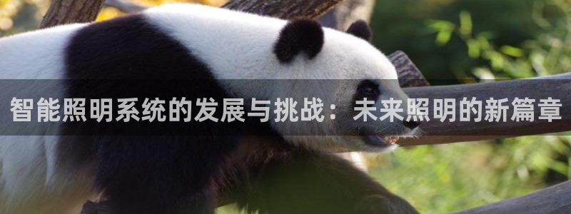 智能照明系统的发展与挑战：未来照明的新篇章