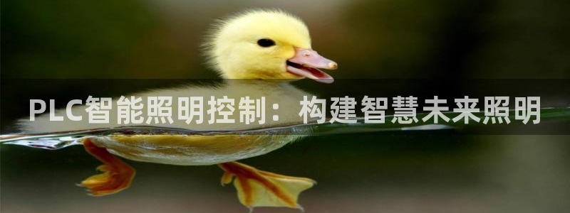 PLC智能照明控制：构建智慧未来照明