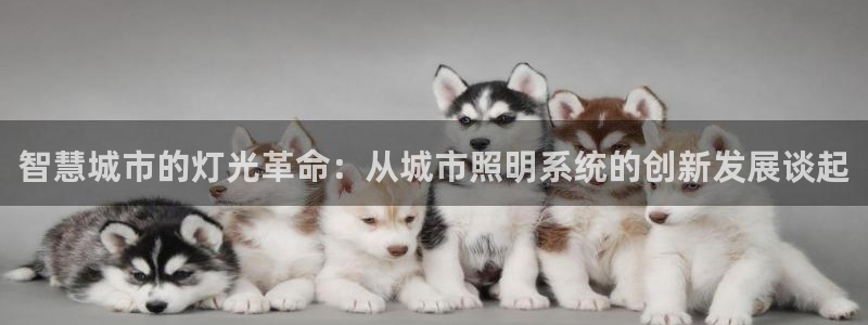 智慧城市的灯光革命：从城市照明系统的创新发展谈起