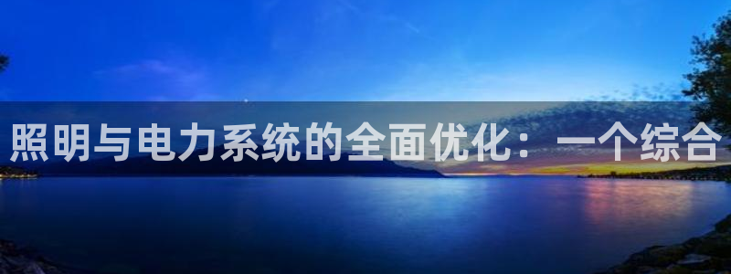 照明与电力系统的全面优化：一个综合