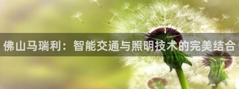 佛山马瑞利：智能交通与照明技术的完美结合