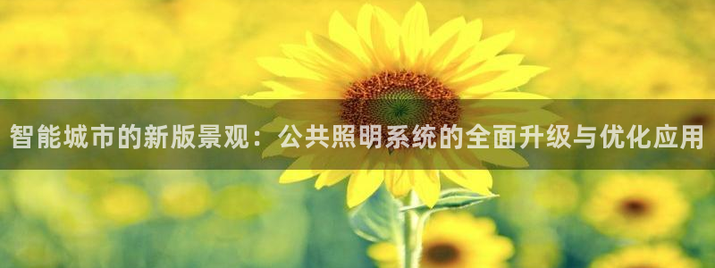 智能城市的新版景观：公共照明系统的全面升级与优化应用