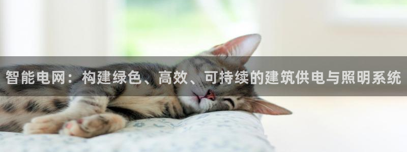 智能电网:构建绿色、高效、可持续的建筑供电与照明系统