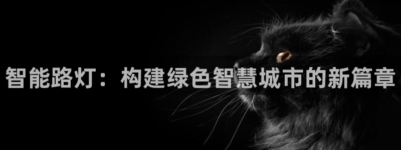 智能路灯：构建绿色智慧城市的新篇章