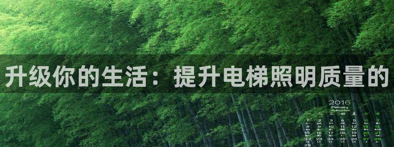 升级你的生活：提升电梯照明质量的